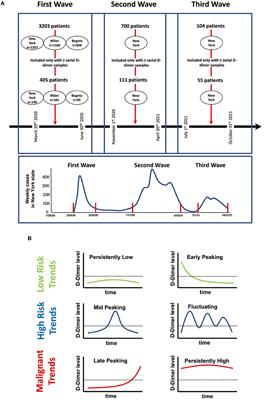 D-dimer trends elaborate the heterogeneity of risk in hospitalized patients with COVID-19: A multi-national case series from different waves